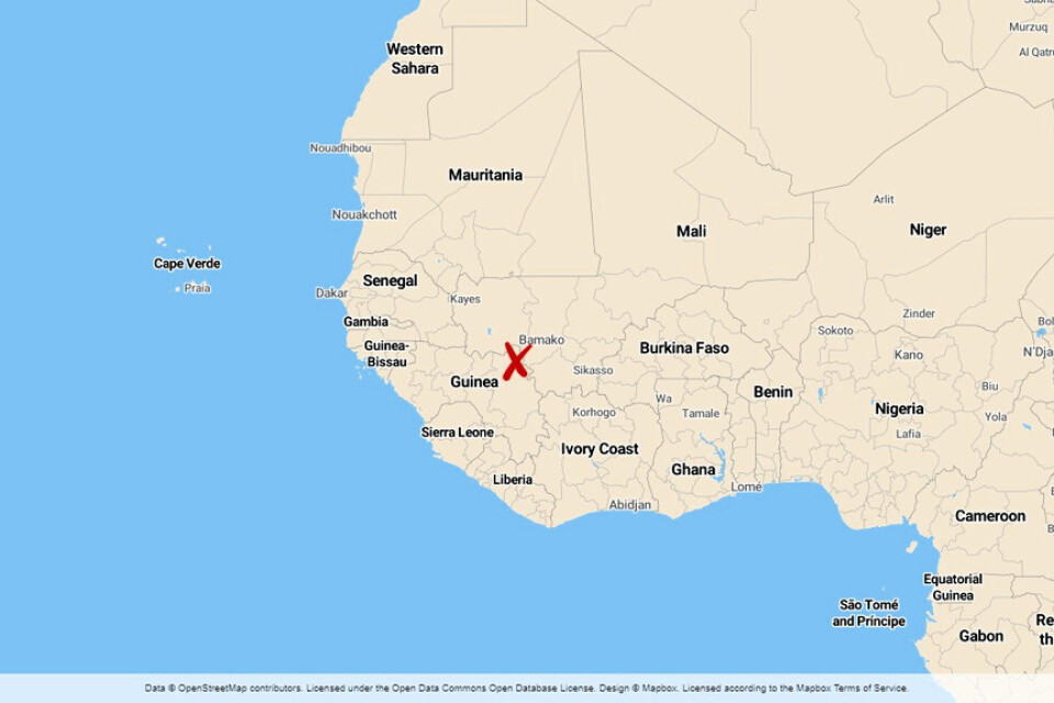 Olyckan inträffade mellan Malis huvudstad Bamako och staden Naréna.
