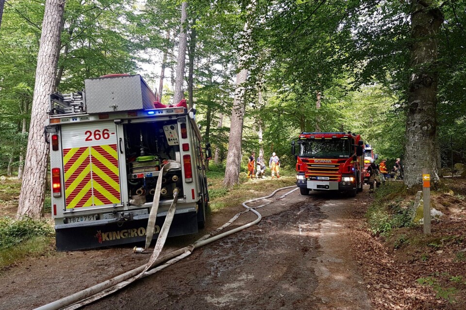 Under måndagsförmiddagen fick räddningstjänsten två larm om bränder i Ronneby. Bland annat brann det i ett skogsparti vid Trollsjön i Brunnsskogen. Eftersläckning väntas pågå under hela måndagseftermiddagen.