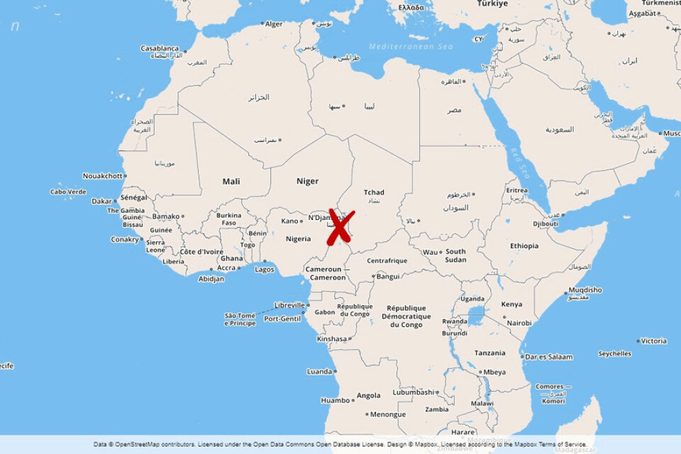 Minst 22 människor har dödats, varav 14 barn, i en attack mot en by i den engelskspråkiga delen av nordvästra Kamerun, enligt FN:s samordningsorgan för nödhjälp (Ocha).