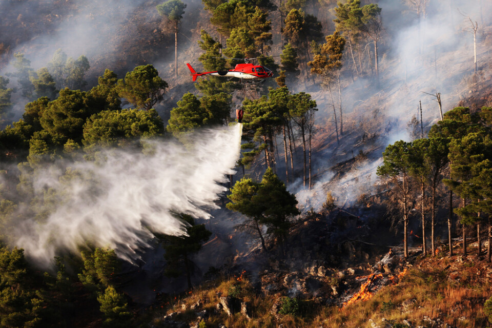 En helikopter dränker en skogsbrand med vatten i Altofonte nära Palermo på Sicilien i slutet av juli. Arkivbild.