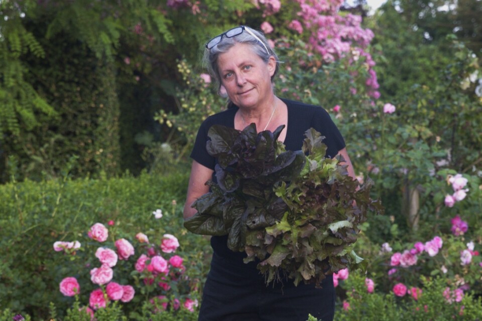 De senaste 20 åren har Anette Nilsson jobbat med den dekorativa köksträdgården som fått namn från franskans "potager".