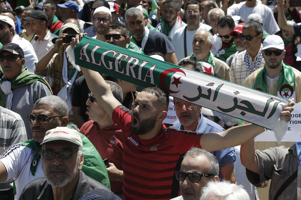 Algerier har protesterat i flera månader mot landets maktelit.