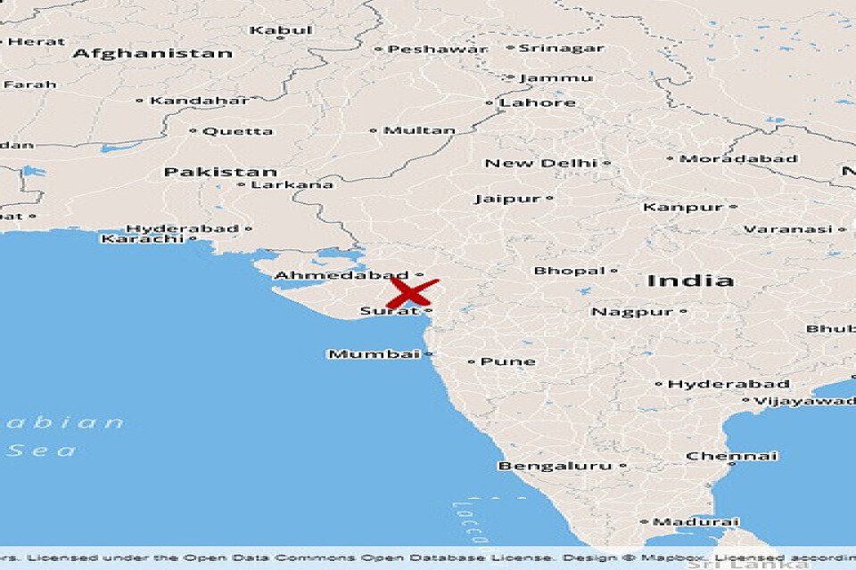 Sju personer i Vadodara i västra Indien miste livet under arbete i en septiktank.