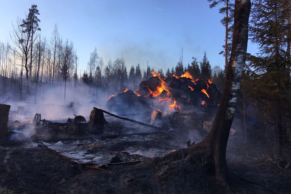 Under tisdagskvällen härjade en stor skogsbrand i Limmared. Nu införs eldningsförbud i både Tranemo och Ulricehamns kommun.