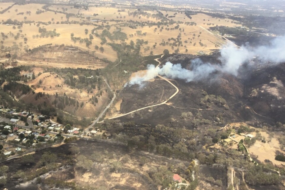Skogsbränder vid Cudlee Creek i närheten av Adelaide i den australiska delstaten South Australia.