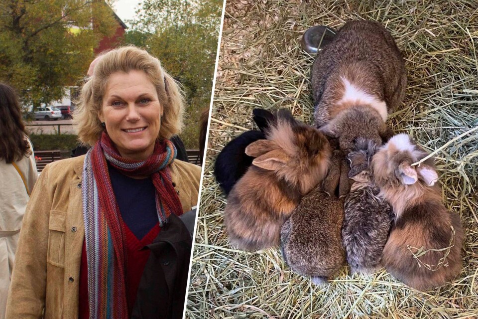 Tina Burvall, verksamhetschef vid Skälby 4H-gård. Till vänster kaninungen med familj.