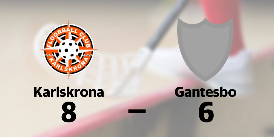 FBC Karlskrona B vann mot Gantesbo IBK
