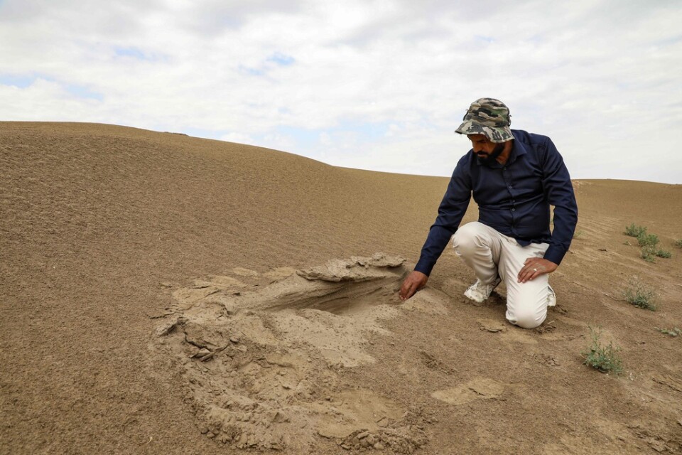 Arkeologen Aqeel al-Mansarawi söker efter de antika ruinerna vid fyndplatsen Umm al-Aqarib som drabbats hårt av sandstormarna.
