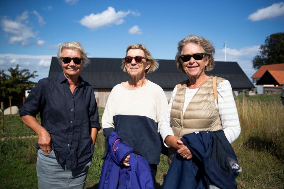 Gunilla Tynell, Ing-Marie Olin och Ann-Marie Gottmark från Brantevik var tre av besökarna på den sista visningen för året.