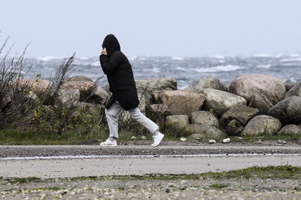 Håll i huvan! SMHI har utfärdat en klass 1 varning för hårda vindbyar i framför allt kustlandskapen. Arkivbild.