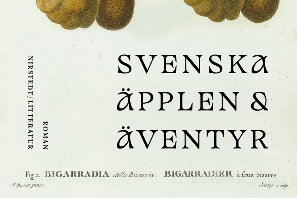 ”Svenska äpplen och äventyr” av Erik Lindman Mata