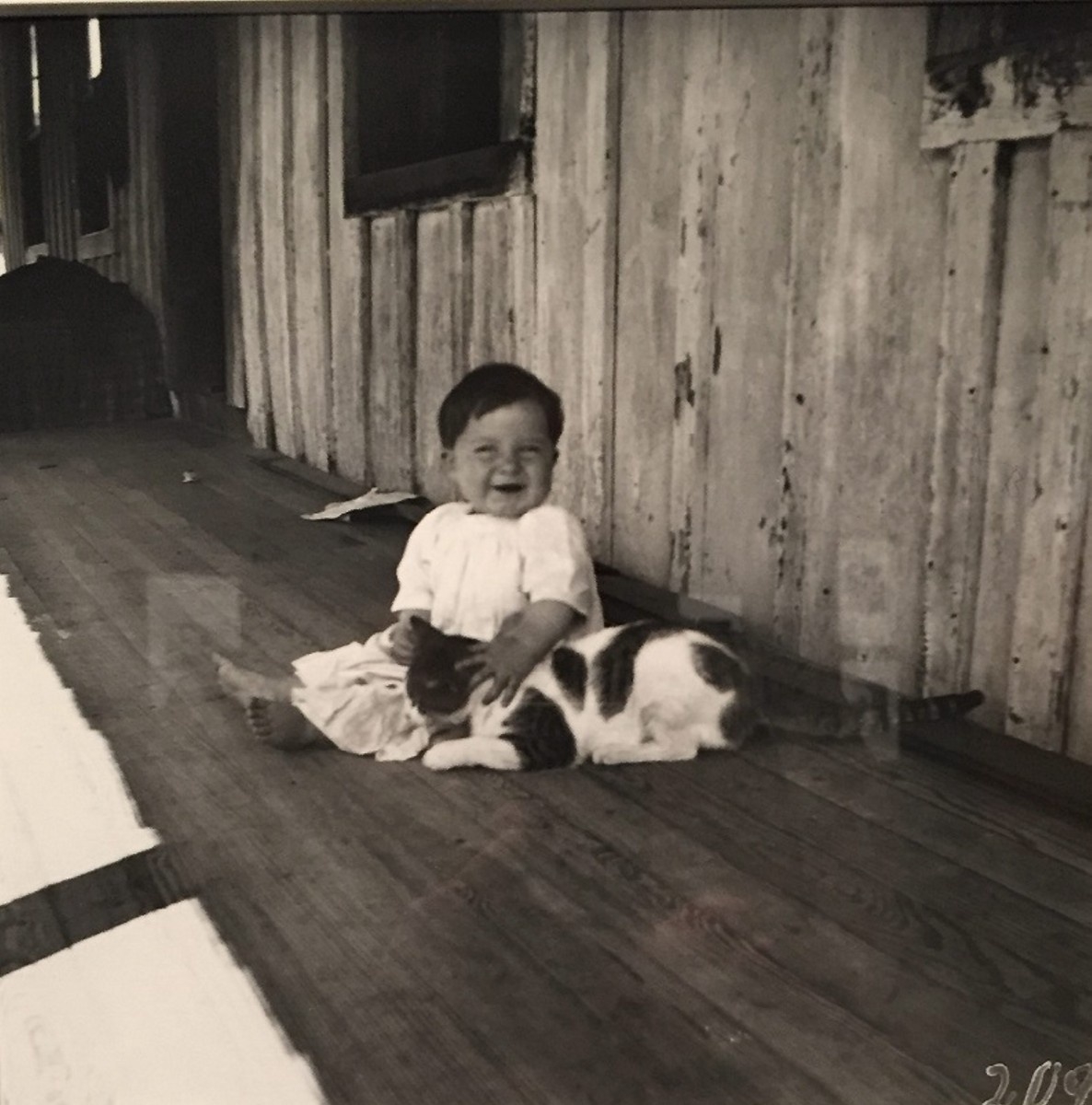 Paul Leroy Wade med katt. Schreiber Hill nära Moorfield, Arkansas. Juli 1900. Foto: Britte Montigny