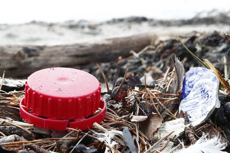 Världen har underskattat mängden plast som begravts längs kuststräckor enligt en ny studie. Arkivbild.