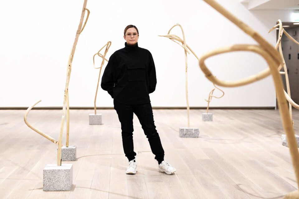 "Jag vill att rummet ska tala trots att det är tyst", säger Johanna Gustafsson Fürst om utställningen. Här i en installation av 21 skulpturer i böjträ.
