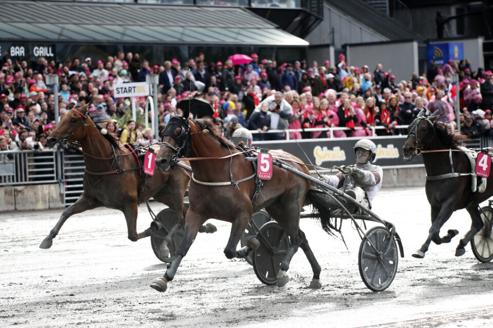 Den franska hästen Dijon, körd av kusken Romain Derieux, vann Elitloppet i fjol.