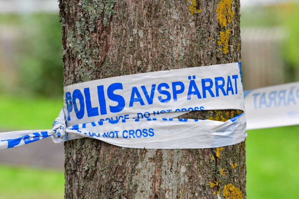 En man i 25-årsåldern har skadats under ett rån i Stadsparken i Borås. Arkivbild.