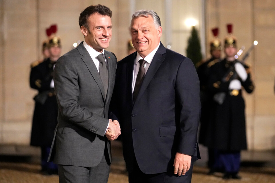 Frankrikes president Emmanuel Macron och Ungerns premiärminister Viktor Orbán i Elyséepalatset i Paris i mars. Arkivbild.