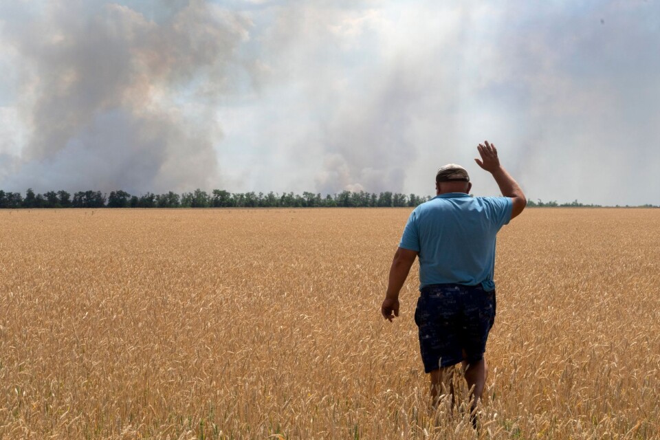 Strider längre bort vid ett odlingsfält i Dnipropetrovsk i Ukraina.