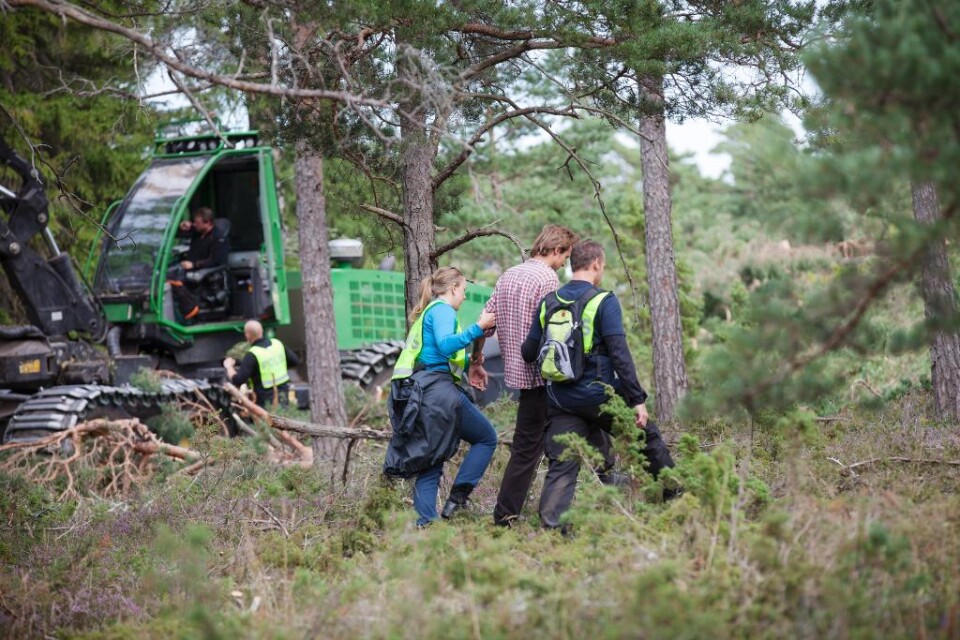 Sista ordet om kalkbrytningen i Ojnareskogen på Gotland är inte sagt. På måndag skulle förhandlingarna i Mark- och miljööverdomstolen inledas. Men nu meddelar domstolen att målet vilandeförklaras, pausas. Orsaken är att Naturvårdsverket vill att området