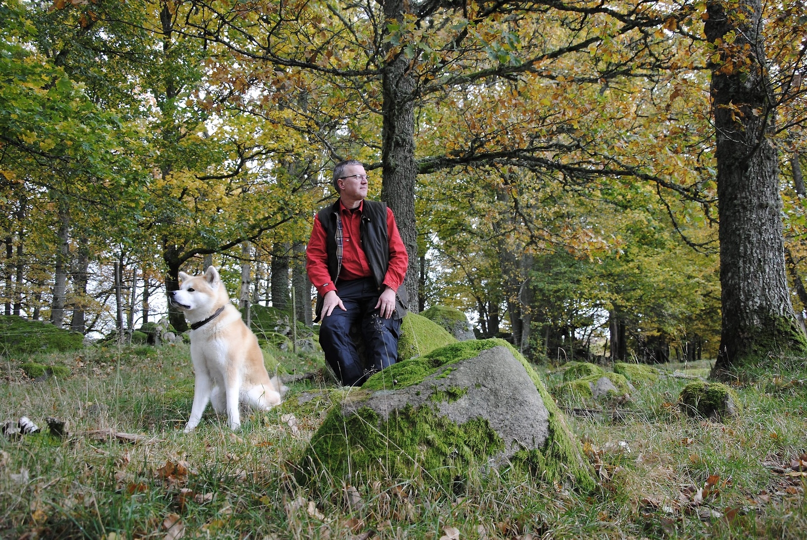 Anders Edbro reste mycket både i landet och utomlands. Nu jobbar han på gården i Ekeröd och som konsult.  Vakthunden     Amateraso No Waka-Toshi, av rasen japansk akita, kallas för enkelhetens skull för Acke.                                          FOTO: SUSANNE GÄRE