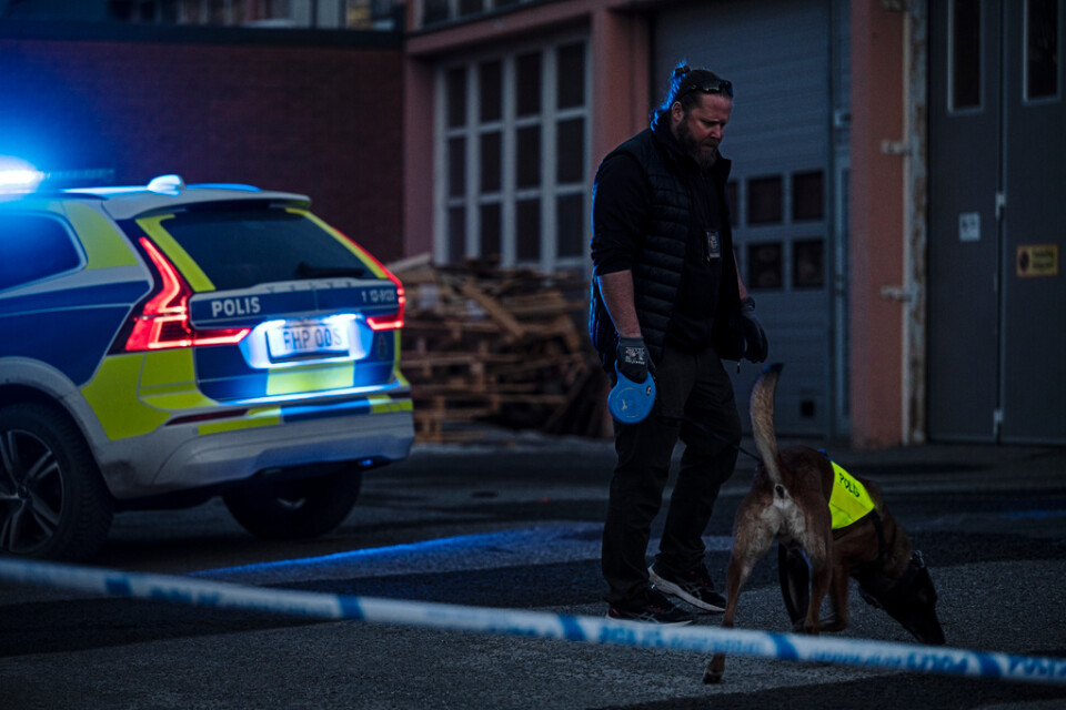 Polisen undersöker platsen för en misstänkt skjutning i stadsdelen Öst på Stan i Umeå.