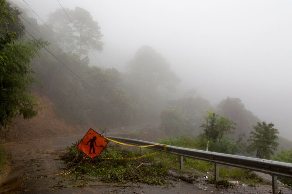 En skylt varnar för träd som ligger över vägen efter att Nate dragit fram vid utkanten av Costa Ricas huvudstad San José.