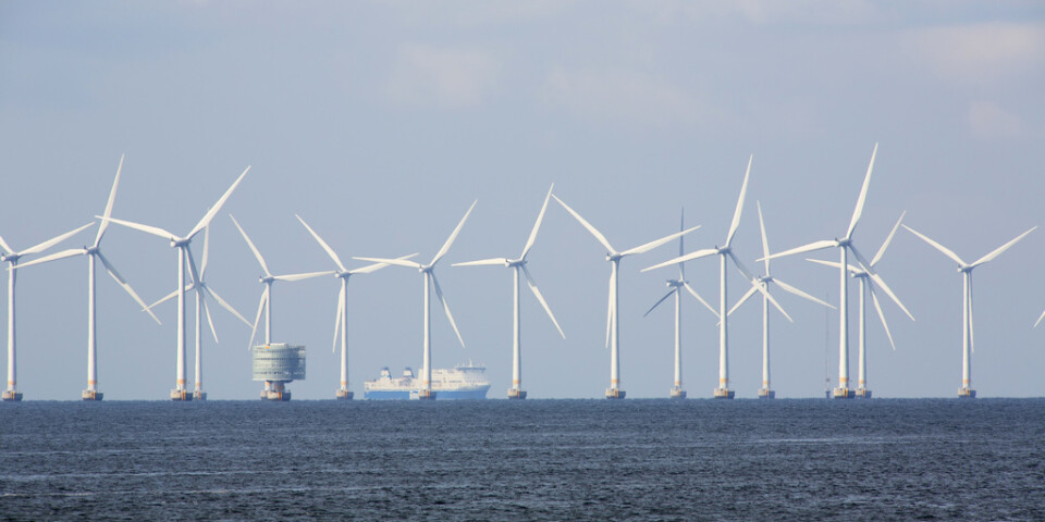 På bilden syns Lillgrund, söder om Öresundsbron, en park med 48 vindkraftverk som invigdes 2007. Arkivbild.