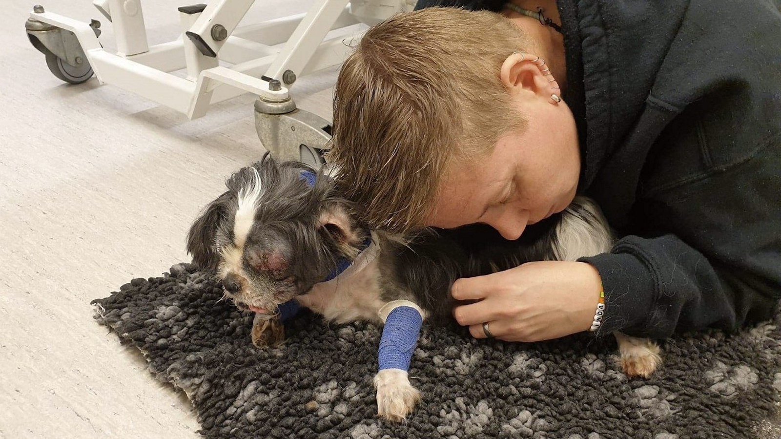 Linda Lund försöker trösta sin hund Milla efter att denna blivit attackerad av en lösspringande hund, som hon beskriver som en pitbull, i förra veckan. Milla blev rejält skadad och befinner sig på djursjukhuset i Hässleholm.