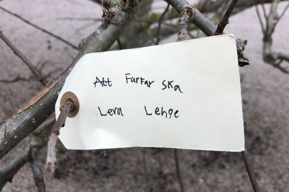 Önskan 2, Yoko Onos Wish Tree. Wanås konstpark.