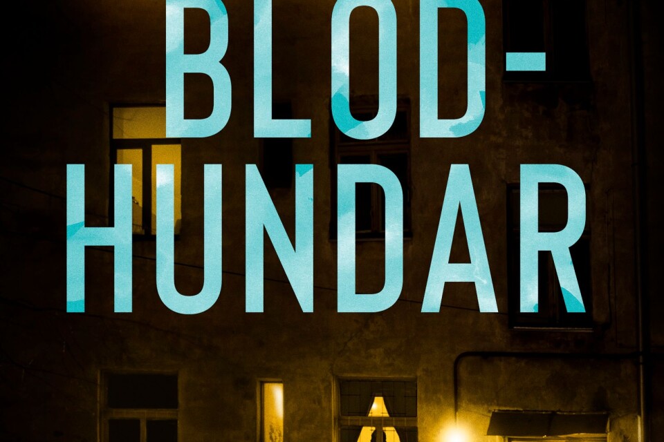 ”Blodhundar” är den första boken om den otypiska hjältinnan Gun Berlin. Författarparet Claes och Eva Fürstenberg bjuder på en cocktail av pusseldeckare, actionthriller, spionroman och familjedrama.