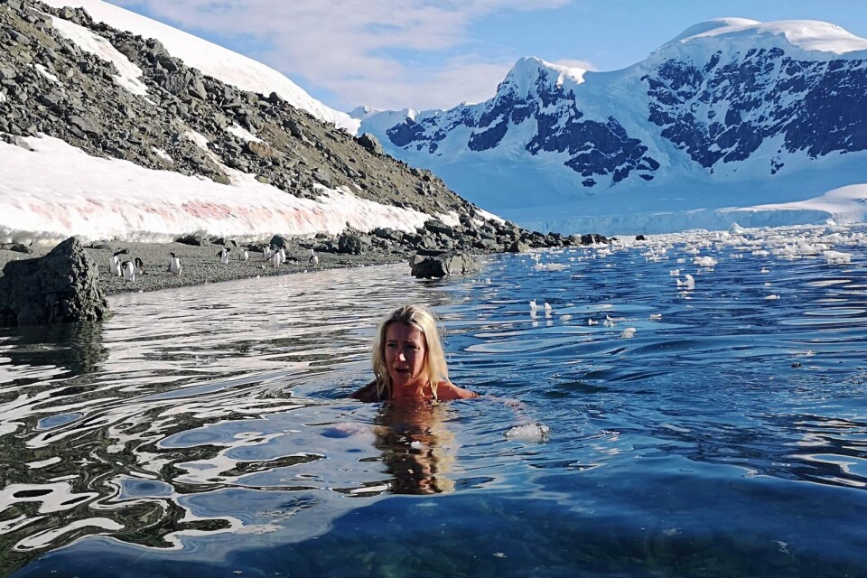 Karin Jansdotter isbadar utanför Antarktis under en av sina tidigare resor dit med Hurtigruttens explorerbåt Fram där hon jobbat som kökschef.