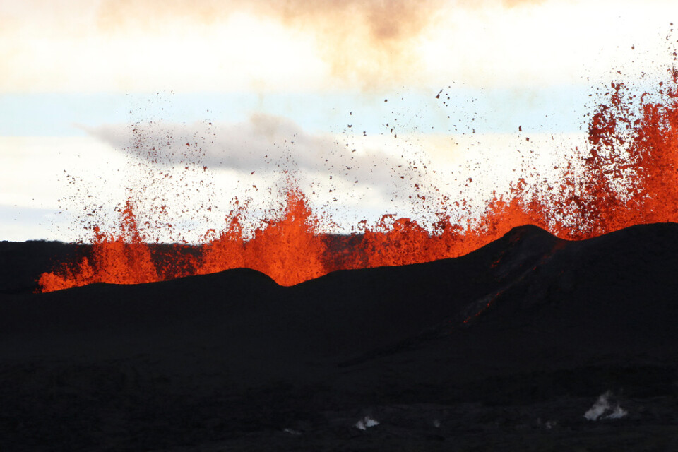 Mauna Loas utbrott på Hawaii.