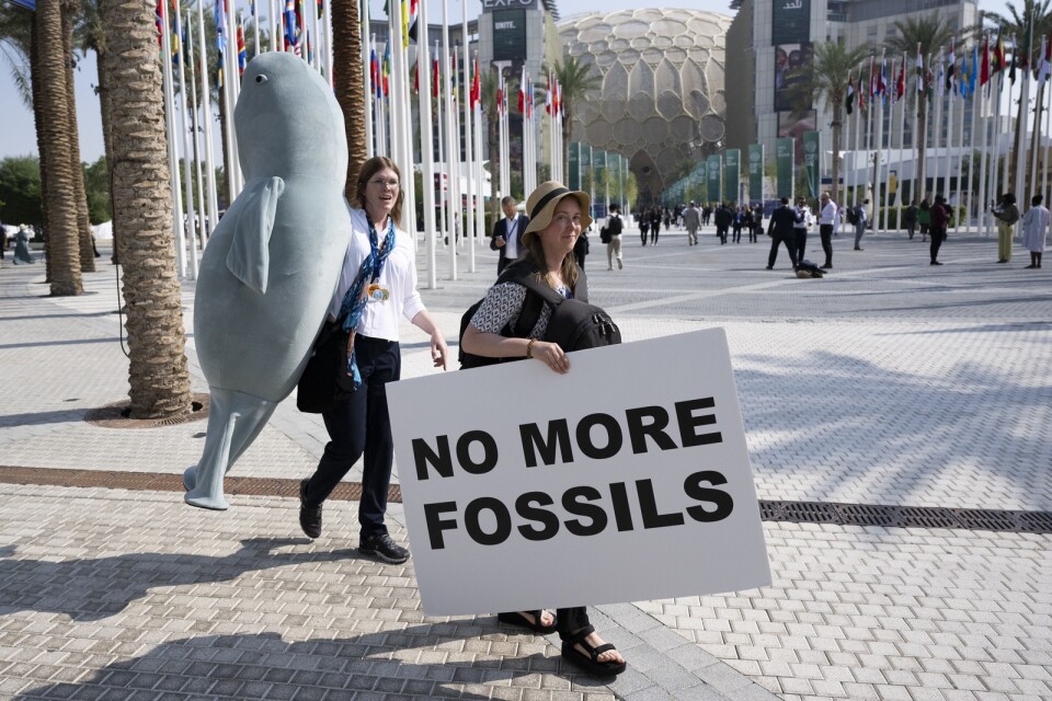 Demonstranter vid COP28.
