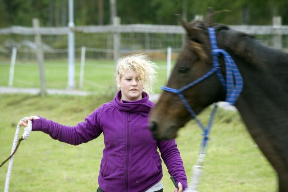 Sara Gustafsson och hennes häst Kingen visade några träningsmoment.