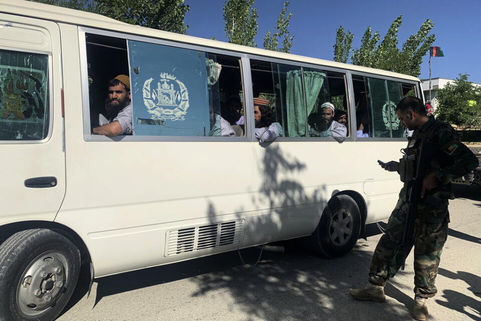 Frisläppta talibaner på en buss.