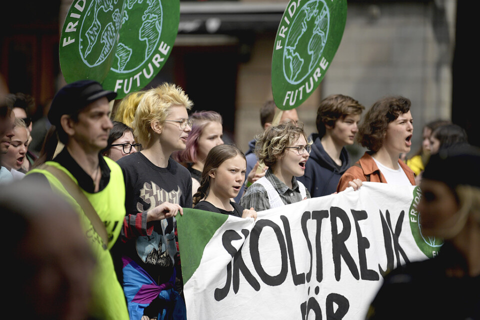 Greta Thunberg och demonstrationerna som följt efter hennes skolstrejk kan ha lett till gröna partiers framgång i valet.