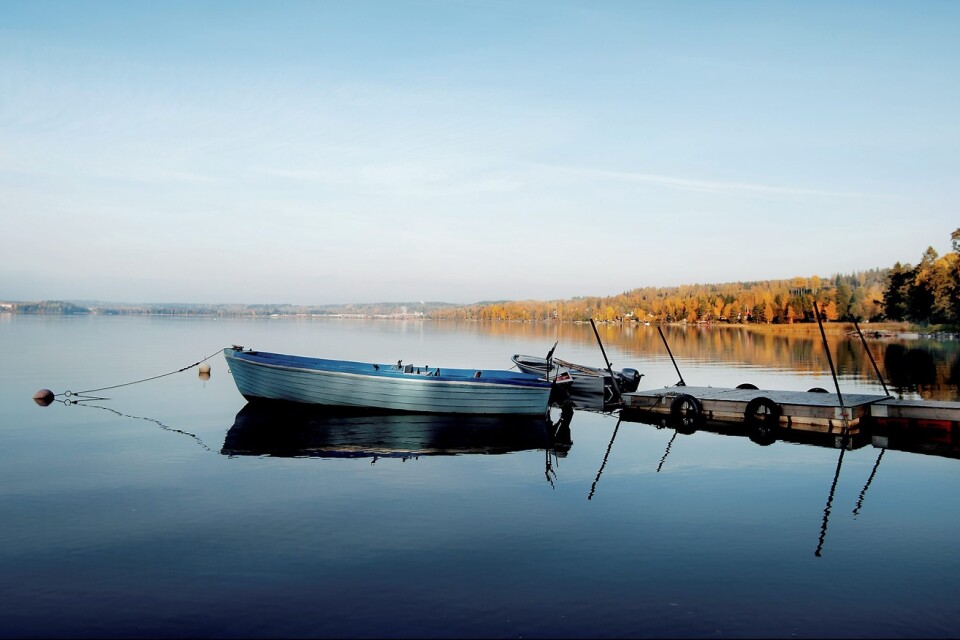 Båtägare kring sjön Möckeln i Älmhult och Ljungby kommun har under den gångna helgen varit särskilt drabbade.  Foto: Frida Edlund/WWF/Arkivbild