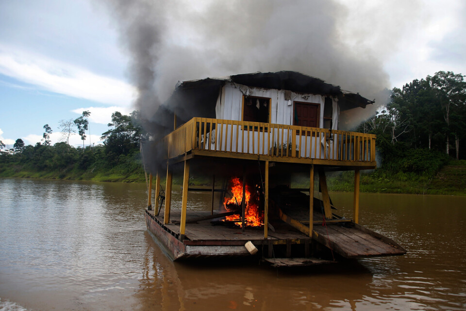 Brasilianska myndigheter satte förra året eld på muddringsbåtar som användes för illegal guldutvinning i Amazonas oersättliga marker. Arkivbild.