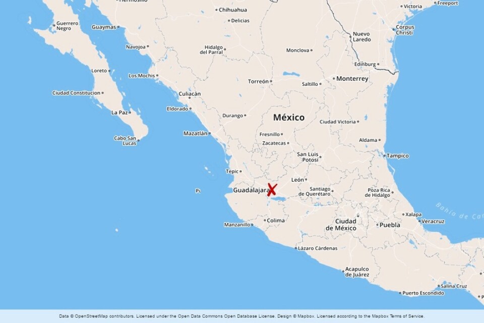 En ny massgrav har hittats utanför staden Guadalajara i Mexiko.