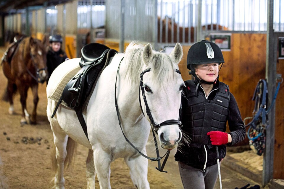 Elin Andersson, tio år, ska rida Biggareau som är ett av många udda namn på ridskolans hästar.