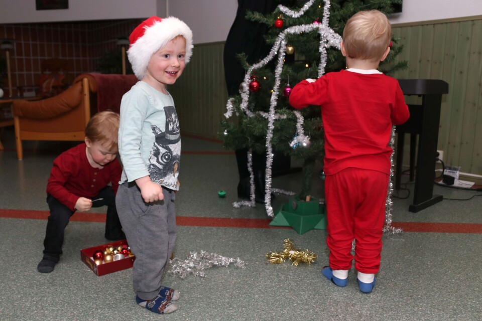 Milton Lilja, Adam Holst Axelsson och William Nilsson Granberg hjälps åt att klä julgranen.