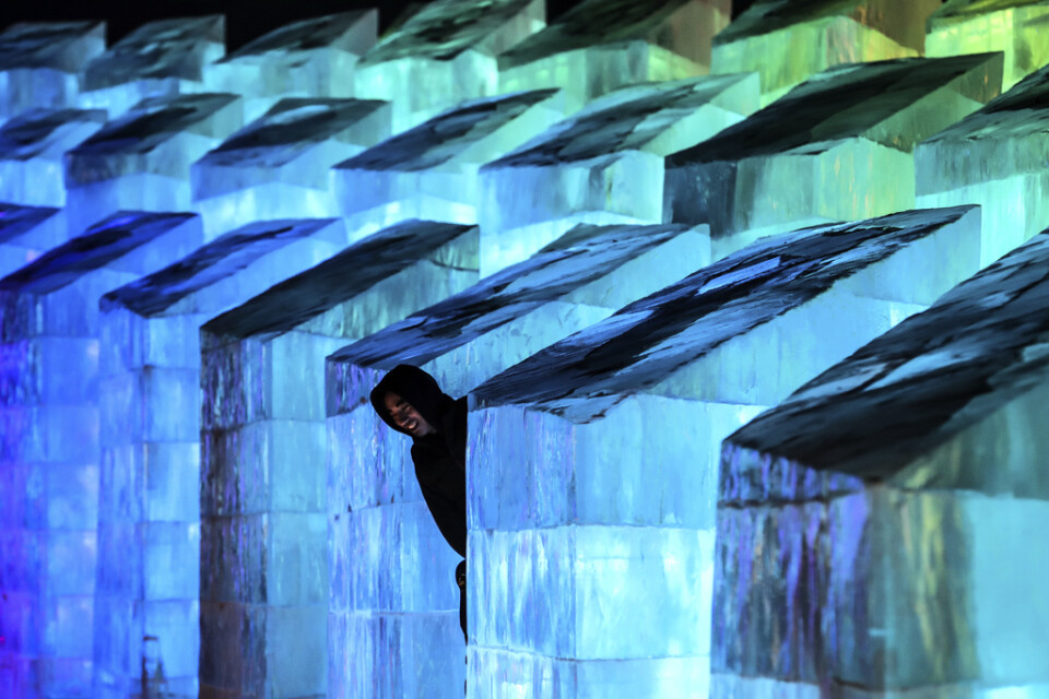 En besökare beundrar isskulpturer på den kända festivalen i Harbin. Bilden är från invigningen den 5 januari – nu drabbas staden av lockdown.