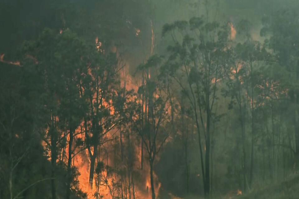 Bränderna rasar vidare i Australien, här i Hillville i New South Wales, Australien.