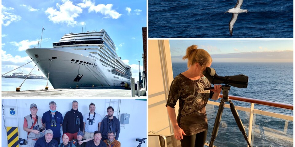 Nina från Öland kom iväg på sitt livs resa: ”Total lycka”