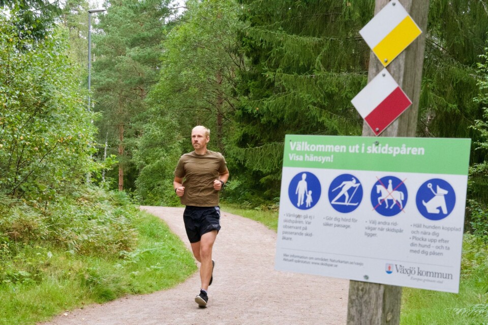 Löpning i Fyllerydskogen.
