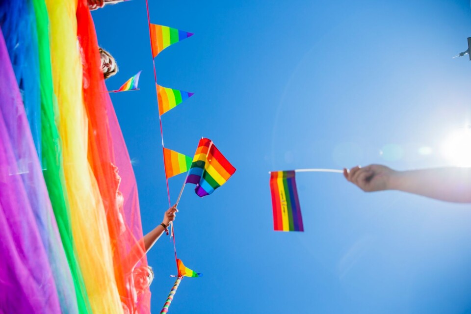 Prideflaggan är inkluderande, till skillnad från dess kritiker.