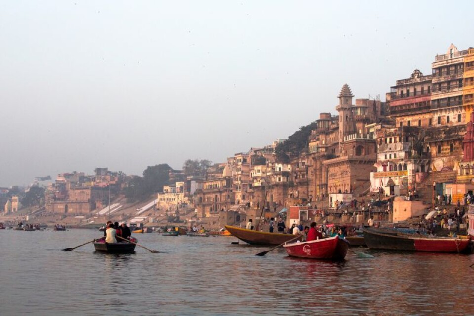 I den heliga staden Varanasi kan man förutom ett besök vid Ganges också bli jagad av apor om man har otur.