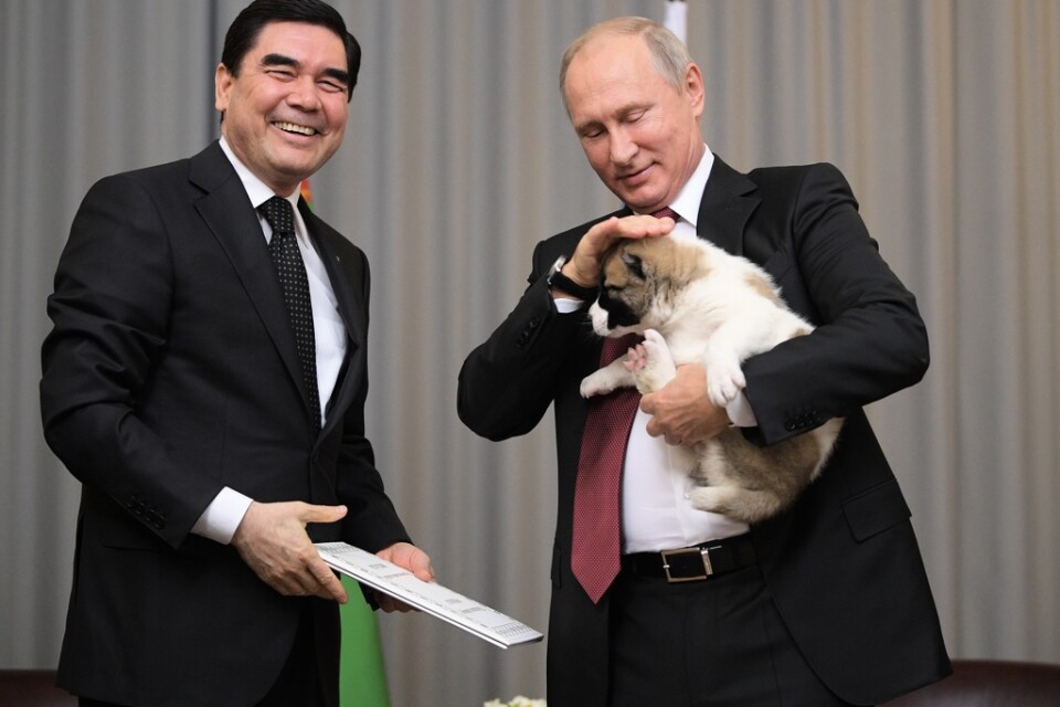 "Dog diplomacy." Gurbanguly Berdymuchamedov tog med sig en turkmensk valp till Vladimir Putin när de två träffades i ryska Sotji 2017.