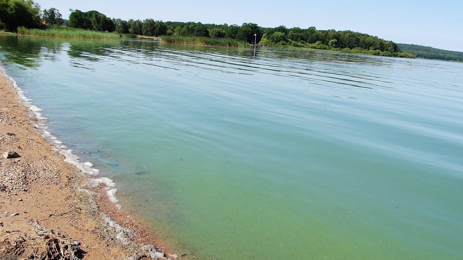 Vattnet i Finjasjön har stundtals varit grönt i sommar – därför avråds från bad.  Foto: SHARON WONG/Arkiv