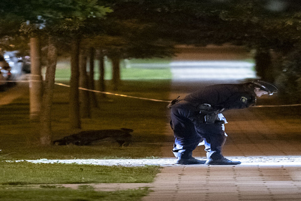 Poliser i arbete på den förmodade brottsplatsen i stadsdelen Rosengård i Malmö.
